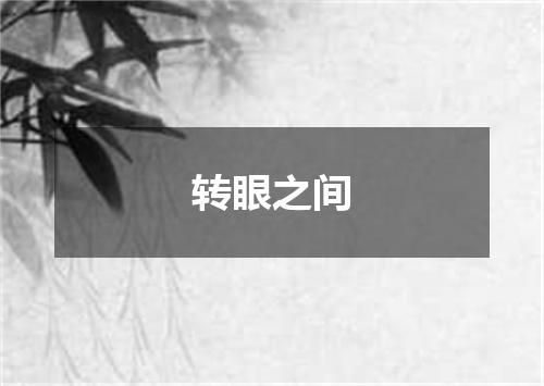 转眼之间是什么意思