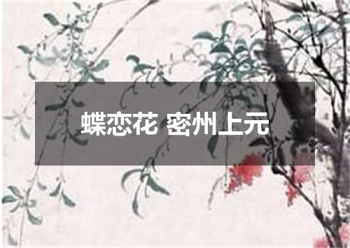 蝶恋花 密州上元