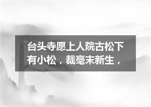 台头寺愿上人院古松下有小松，裁毫末新生，