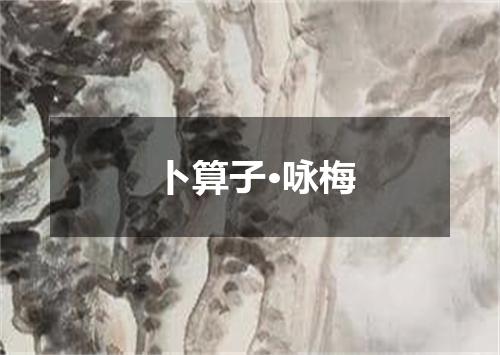 卜算子·咏梅