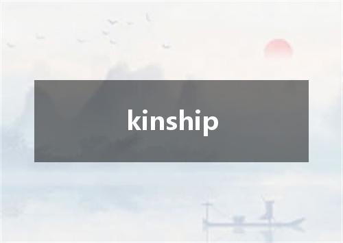 kinship是什么意思