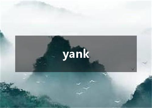yank是什么意思