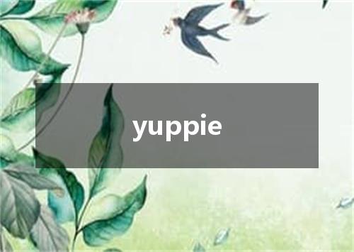 yuppie是什么意思