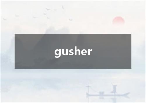 gusher是什么意思