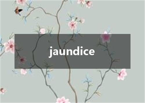 jaundice是什么意思