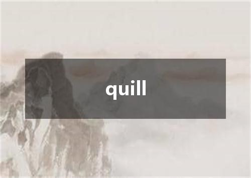 quill是什么意思