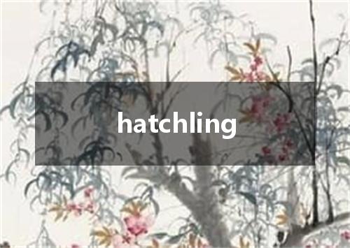 hatchling是什么意思