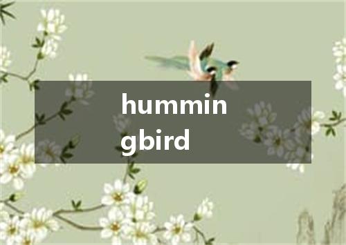 hummingbird是什么意思