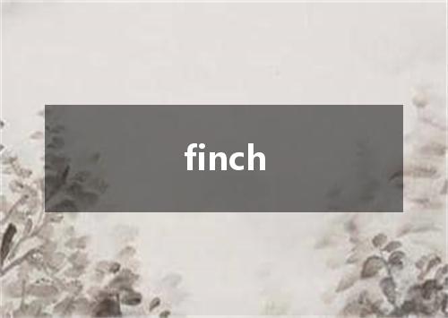 finch是什么意思