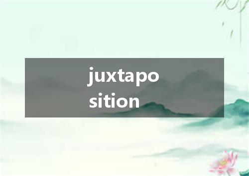 juxtaposition是什么意思