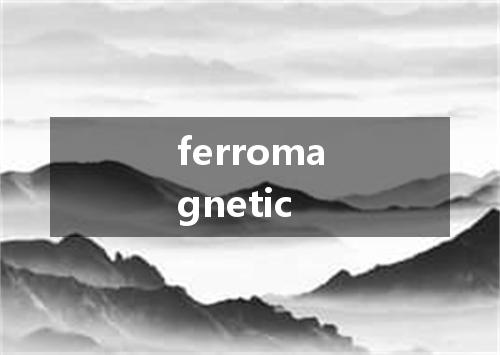 ferromagnetic是什么意思