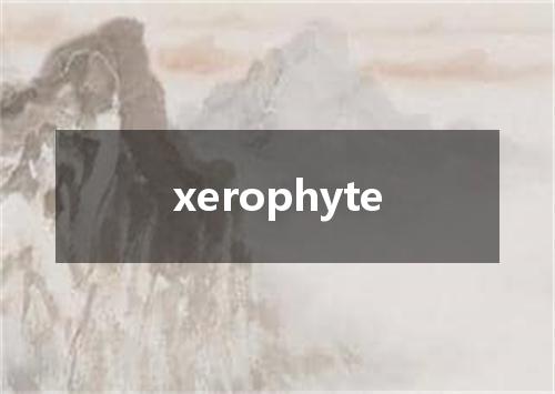 xerophyte是什么意思