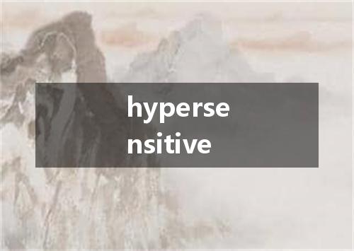 hypersensitive是什么意思