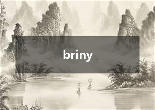 briny是什么意思
