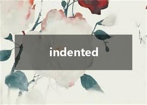 indented是什么意思