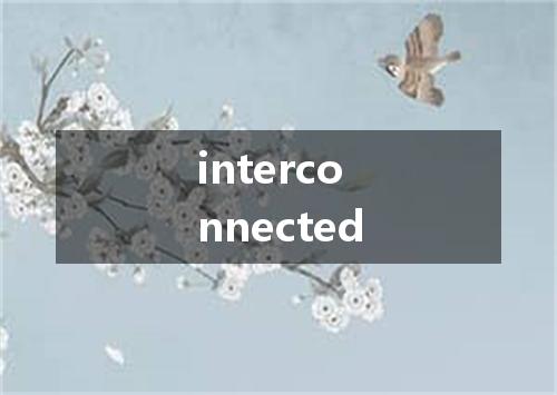 interconnected是什么意思