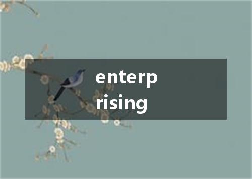enterprising是什么意思