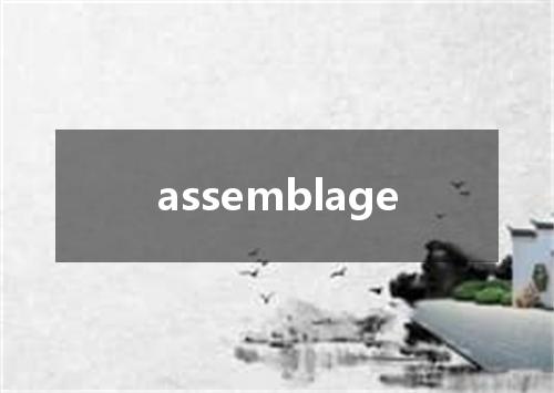 assemblage是什么意思