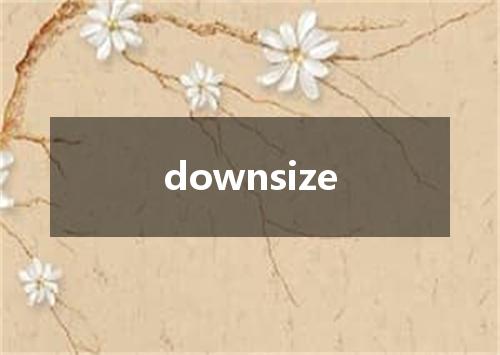 downsize是什么意思