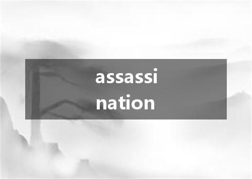 assassination是什么意思