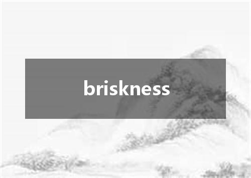 briskness是什么意思