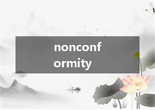nonconformity是什么意思