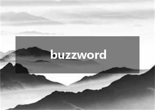 buzzword是什么意思