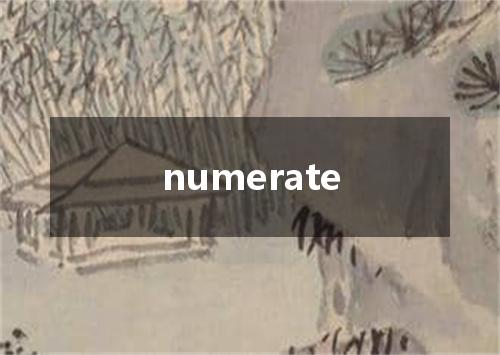 numerate是什么意思