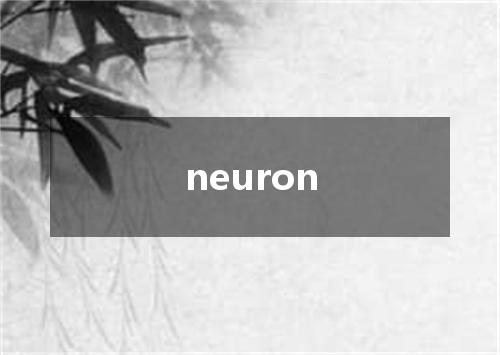 neuron是什么意思