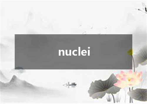 nuclei是什么意思