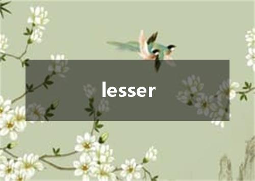 lesser是什么意思