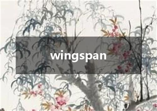 wingspan是什么意思
