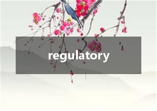 regulatory是什么意思