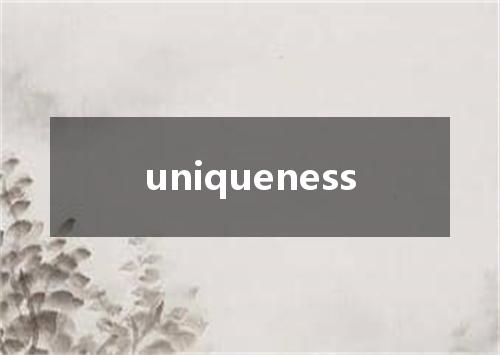 uniqueness是什么意思