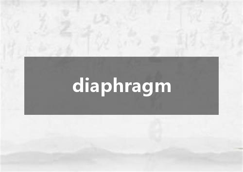 diaphragm是什么意思