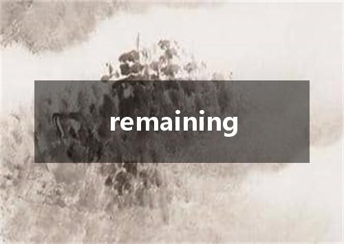 remaining是什么意思