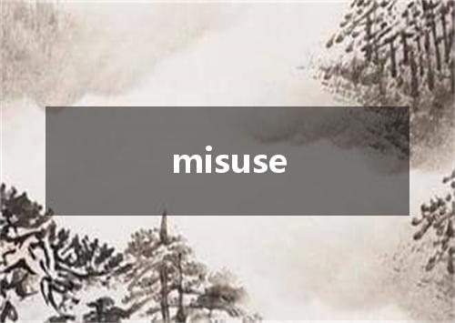 misuse是什么意思