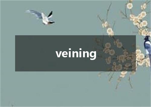 veining是什么意思