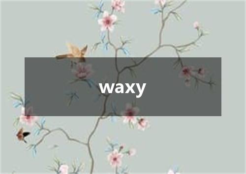 waxy是什么意思