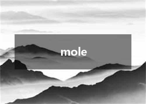mole是什么意思