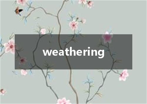 weathering是什么意思