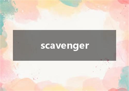 scavenger是什么意思