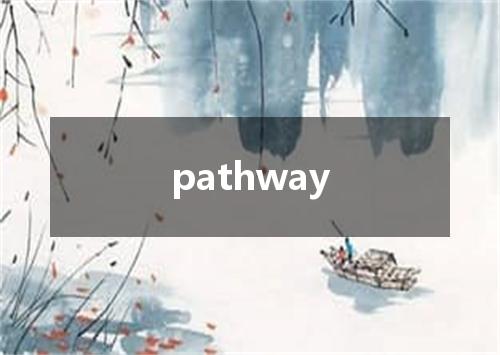 pathway是什么意思