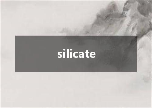 silicate是什么意思