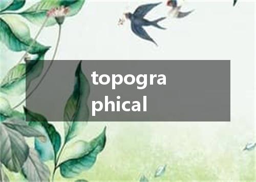 topographical是什么意思
