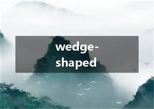 wedge-shaped是什么意思