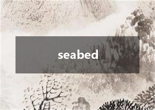 seabed是什么意思
