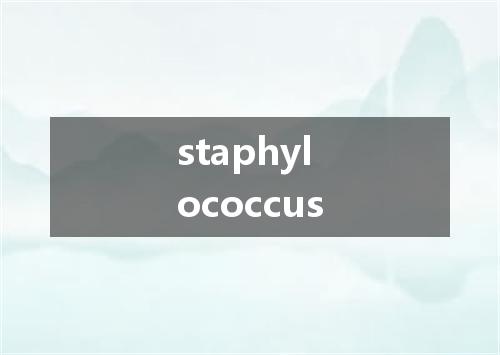 staphylococcus是什么意思