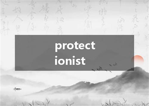 protectionist是什么意思
