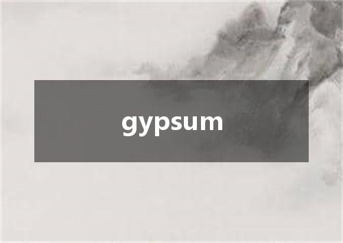 gypsum是什么意思